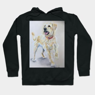 Labradoodle Hoodie